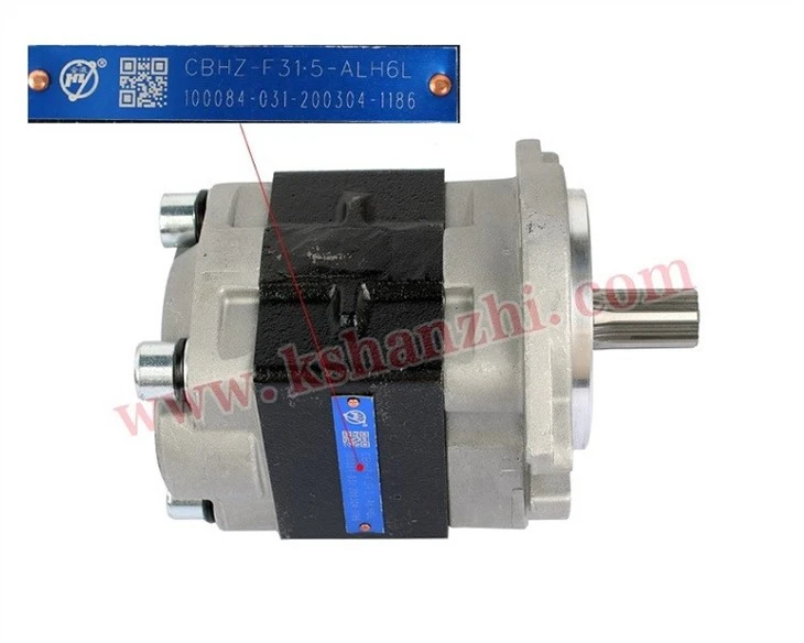 Hydraulic Pump For HL2000/XC490 (H93N7-10001) Universal Application