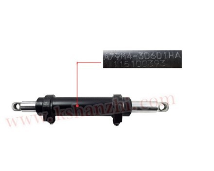 Części do wózków widłowych A79M4-30601 Cylinder sterujący do serii CPCD10~30 HL „G”